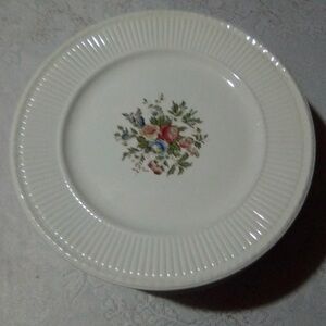 13 Wedgwood of Etruria Conway AK8384 Dinner Plates